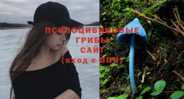 тгк Беломорск
