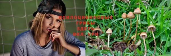 героин Белокуриха