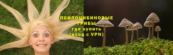 тгк Беломорск